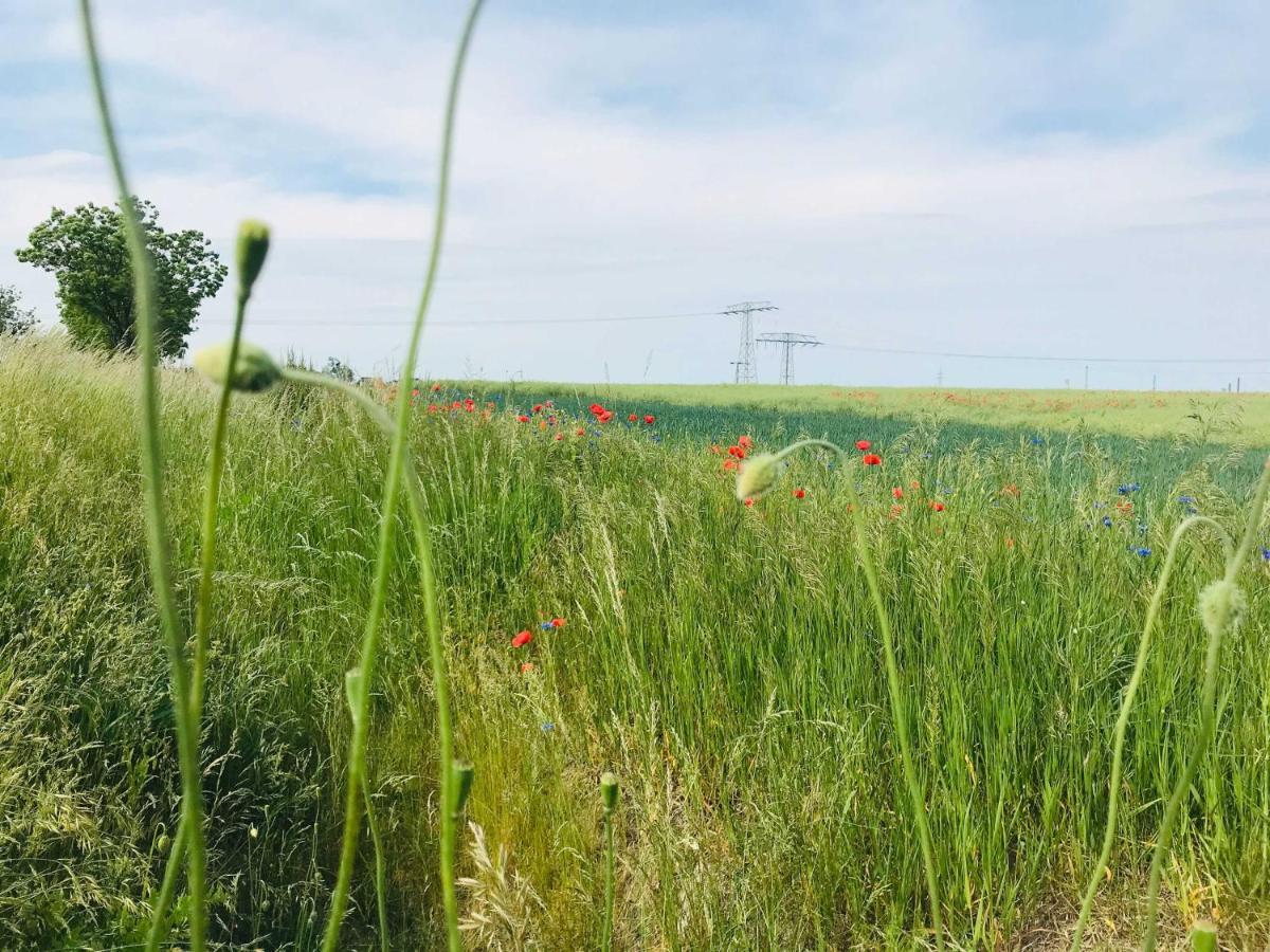 Ferienhaus Live Deluxe In Der Schonen Uckermark Meyenburg  Buitenkant foto